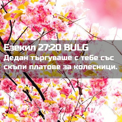 Picture 02 - Езекил 27:20 BULG - Дедан търгуваше с тебе със - Bible Verse Picture