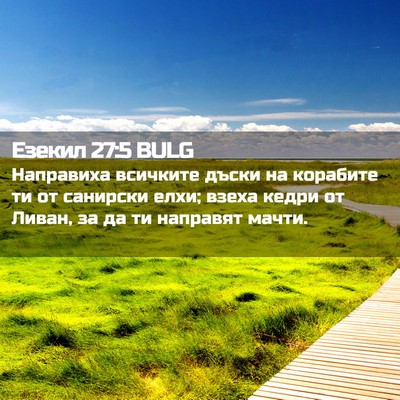 Picture 02 - Езекил 27:5 BULG - Направиха всичките дъски - Bible Verse Picture