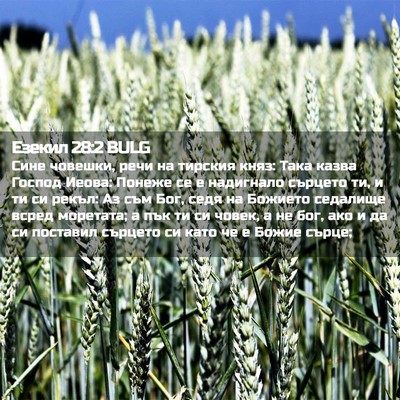 Picture 02 - Езекил 28:2 BULG - Сине човешки, речи на - Bible Verse Picture