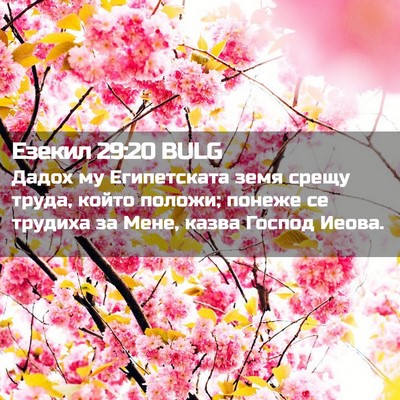 Picture 02 - Езекил 29:20 BULG - Дадох му Египетската земя - Bible Verse Picture