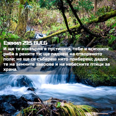 Picture 02 - Езекил 29:5 BULG - И ще те изхвърля в - Bible Verse Picture