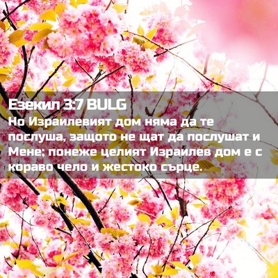 Picture 02 - Езекил 3:7 BULG - Но Израилевият дом няма да - Bible Verse Picture