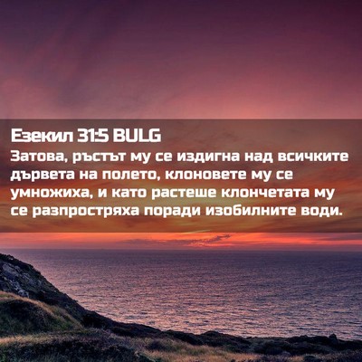 Picture 02 - Езекил 31:5 BULG - Затова, ръстът му се - Bible Verse Picture