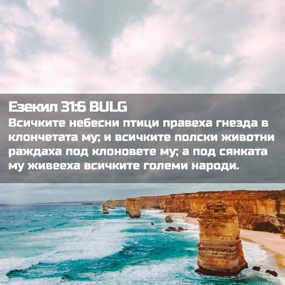Picture 02 - Езекил 31:6 BULG - Всичките небесни птици - Bible Verse Picture