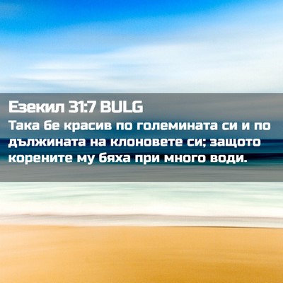 Picture 02 - Езекил 31:7 BULG - Така бе красив по - Bible Verse Picture