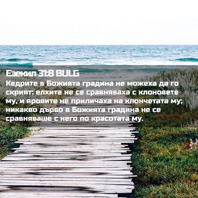 Picture 02 - Езекил 31:8 BULG - Кедрите в Божията градина - Bible Verse Picture