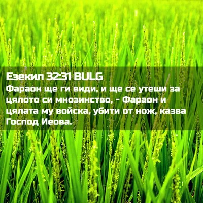 Picture 02 - Езекил 32:31 BULG - Фараон ще ги види, и ще се - Bible Verse Picture