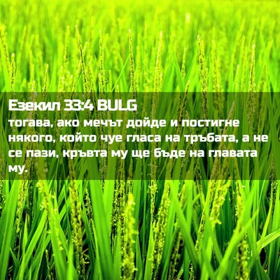 Picture 02 - Езекил 33:4 BULG - тогава, ако мечът дойде и - Bible Verse Picture