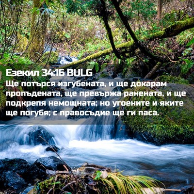 Picture 02 - Езекил 34:16 BULG - Ще потърся изгубената, и ще - Bible Verse Picture