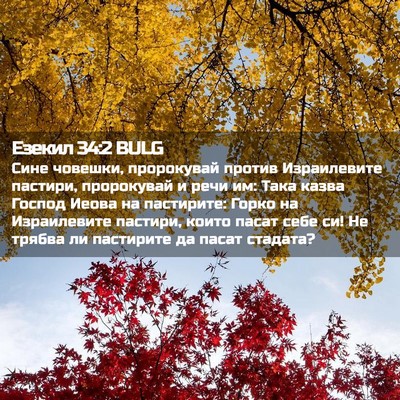 Picture 02 - Езекил 34:2 BULG - Сине човешки, пророкувай - Bible Verse Picture