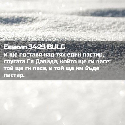 Picture 02 - Езекил 34:23 BULG - И ще поставя над тях един - Bible Verse Picture