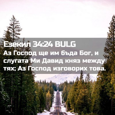 Picture 02 - Езекил 34:24 BULG - Аз Господ ще им бъда Бог, и - Bible Verse Picture