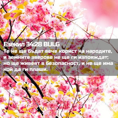 Picture 02 - Езекил 34:28 BULG - Те не ще бъдат вече корист - Bible Verse Picture