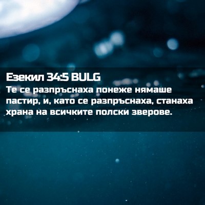 Picture 02 - Езекил 34:5 BULG - Те се разпръснаха понеже - Bible Verse Picture