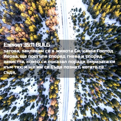 Picture 02 - Езекил 35:11 BULG - затова, заклевам се в - Bible Verse Picture