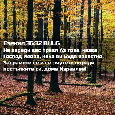 Picture 02 - Езекил 36:32 BULG - Не заради вас правя Аз - Bible Verse Picture