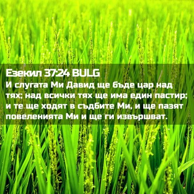 Picture 02 - Езекил 37:24 BULG - И слугата Ми Давид ще бъде - Bible Verse Picture