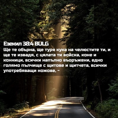 Picture 02 - Езекил 38:4 BULG - Ще те обърна, ще туря кука - Bible Verse Picture