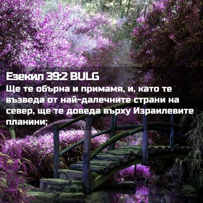 Picture 02 - Езекил 39:2 BULG - Ще те обърна и примамя, и, - Bible Verse Picture