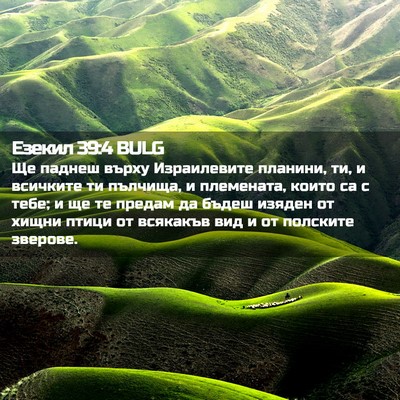 Picture 02 - Езекил 39:4 BULG - Ще паднеш върху - Bible Verse Picture