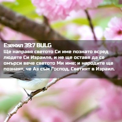 Picture 02 - Езекил 39:7 BULG - Ще направя светото Си име - Bible Verse Picture
