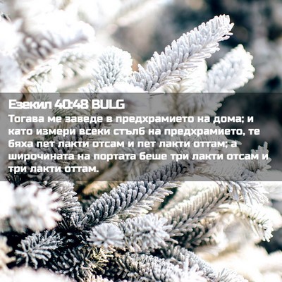 Picture 02 - Езекил 40:48 BULG - Тогава ме заведе в - Bible Verse Picture