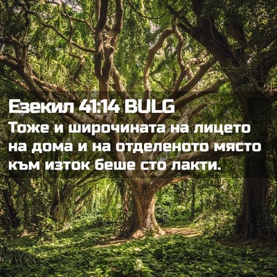 Picture 02 - Езекил 41:14 BULG - Тоже и широчината на - Bible Verse Picture