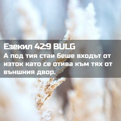 Picture 02 - Езекил 42:9 BULG - А под тия стаи беше входът - Bible Verse Picture