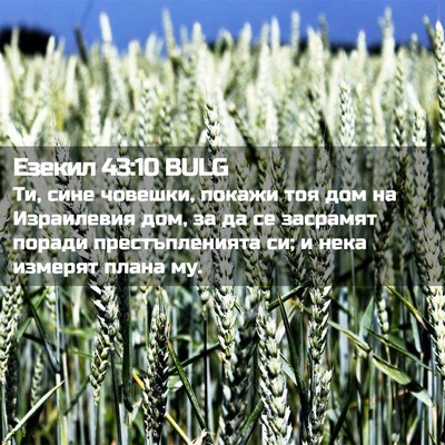 Picture 02 - Езекил 43:10 BULG - Ти, сине човешки, покажи - Bible Verse Picture
