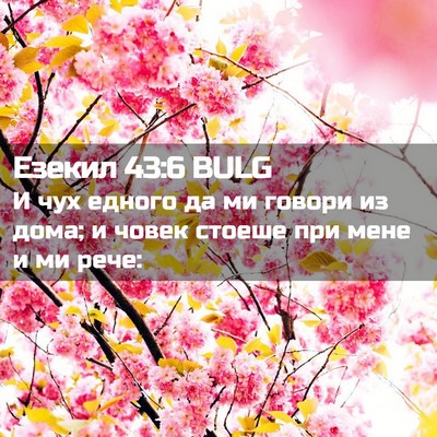 Picture 02 - Езекил 43:6 BULG - И чух едного да ми говори - Bible Verse Picture