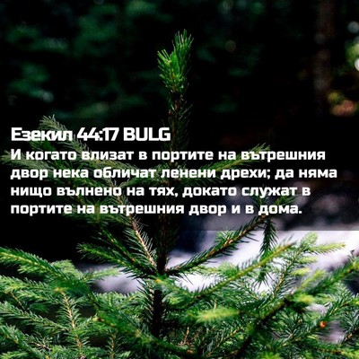 Picture 02 - Езекил 44:17 BULG - И когато влизат в портите - Bible Verse Picture