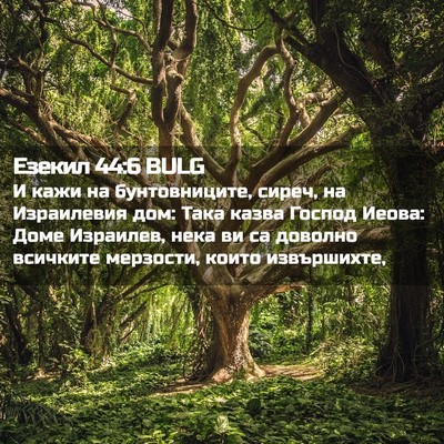 Picture 02 - Езекил 44:6 BULG - И кажи на бунтовниците, - Bible Verse Picture