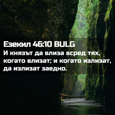 Picture 02 - Езекил 46:10 BULG - И князът да влиза всред - Bible Verse Picture