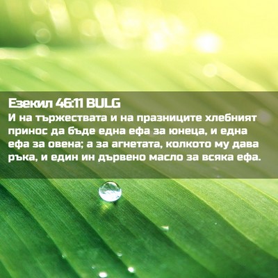 Picture 02 - Езекил 46:11 BULG - И на тържествата и на - Bible Verse Picture