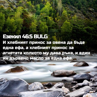Picture 02 - Езекил 46:5 BULG - И хлебният принос за овена - Bible Verse Picture