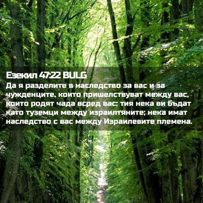 Picture 02 - Езекил 47:22 BULG - Да я разделите в - Bible Verse Picture