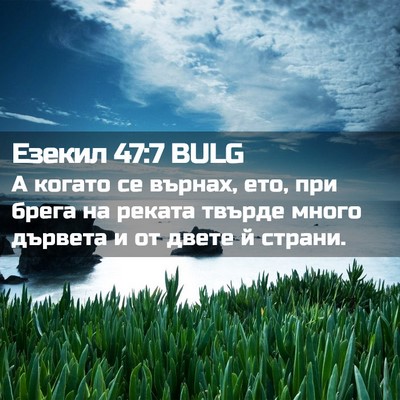 Picture 02 - Езекил 47:7 BULG - А когато се върнах, ето, при - Bible Verse Picture