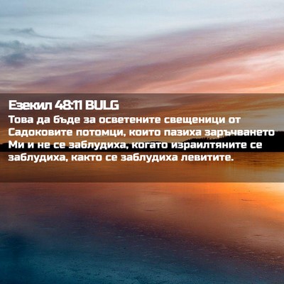Picture 02 - Езекил 48:11 BULG - Това да бъде за осветените - Bible Verse Picture