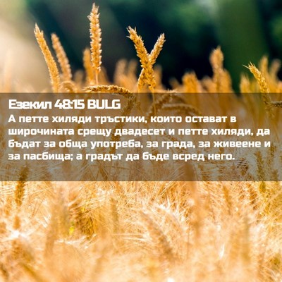 Picture 02 - Езекил 48:15 BULG - А петте хиляди тръстики, - Bible Verse Picture