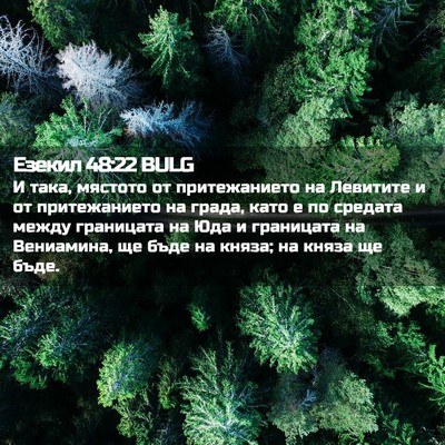 Picture 02 - Езекил 48:22 BULG - И така, мястото от - Bible Verse Picture