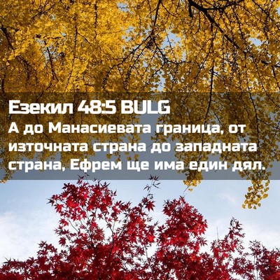 Picture 02 - Езекил 48:5 BULG - А до Манасиевата граница, - Bible Verse Picture