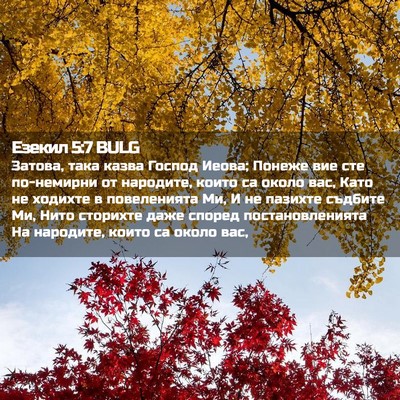 Picture 02 - Езекил 5:7 BULG - Затова, така казва Господ - Bible Verse Picture