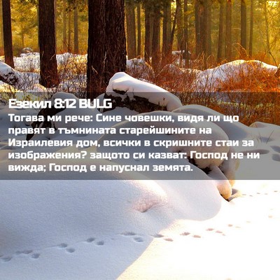Picture 02 - Езекил 8:12 BULG - Тогава ми рече: Сине - Bible Verse Picture