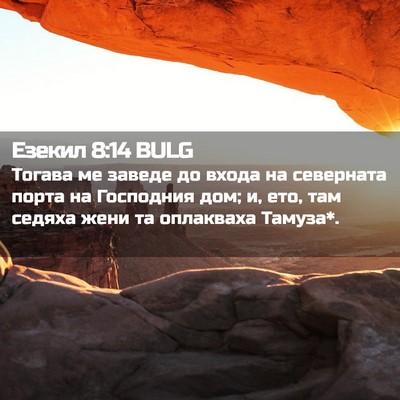 Picture 02 - Езекил 8:14 BULG - Тогава ме заведе до входа - Bible Verse Picture