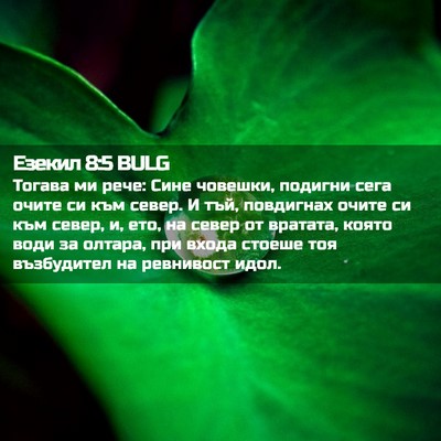 Picture 02 - Езекил 8:5 BULG - Тогава ми рече: Сине - Bible Verse Picture
