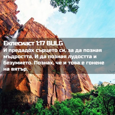 Picture 02 - Еклесиаст 1:17 BULG - И предадох сърцето си, за - Bible Verse Picture
