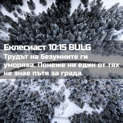Picture 02 - Еклесиаст 10:15 BULG - Трудът на безумните ги - Bible Verse Picture