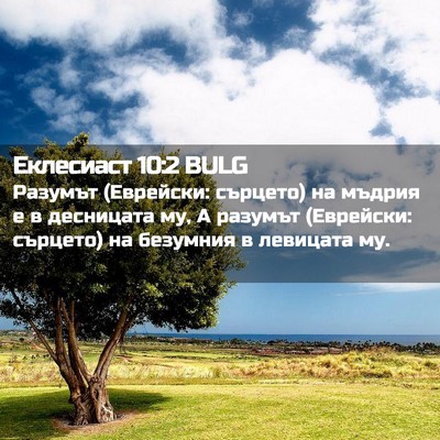 Picture 02 - Еклесиаст 10:2 BULG - Разумът (Еврейски: сърцето) - Bible Verse Picture
