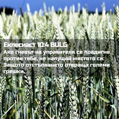 Picture 02 - Еклесиаст 10:4 BULG - Ако гневът на управителя - Bible Verse Picture