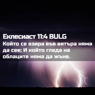 Picture 02 - Еклесиаст 11:4 BULG - Който се взира във вятъра - Bible Verse Picture